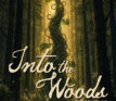 Into The Woods – Ab in den Wald